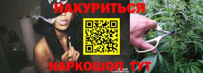 крисы Кулебаки