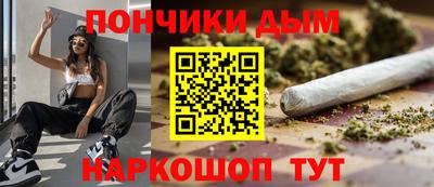 крисы Кулебаки