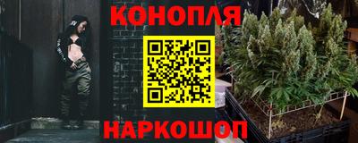 крисы Кулебаки