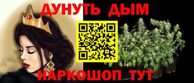 крисы Кулебаки