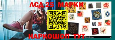 крисы Кулебаки